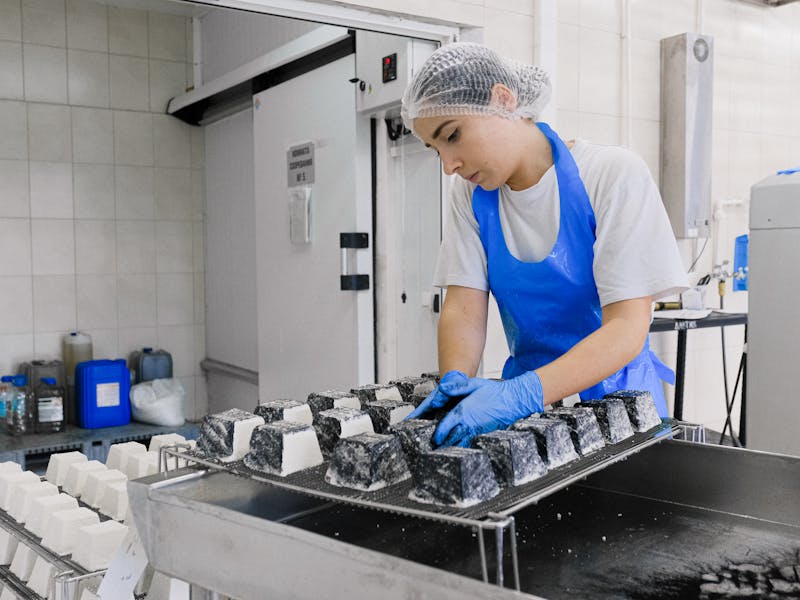 食品業の活用シーン